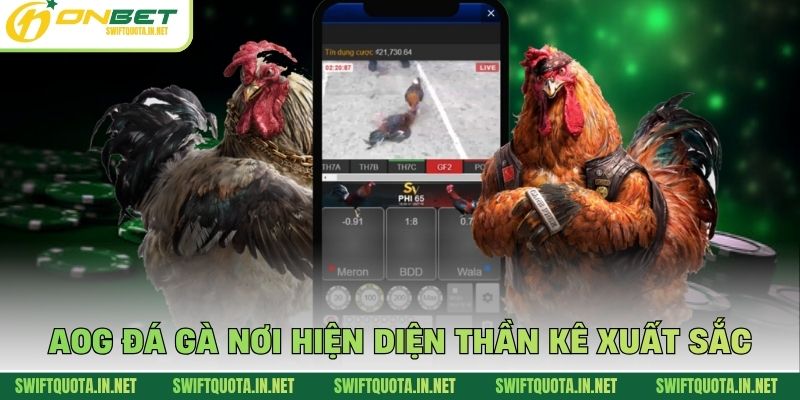 AOG đá gà nơi hiện diện thần kê xuất sắc