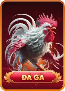 Đá gà Onbet