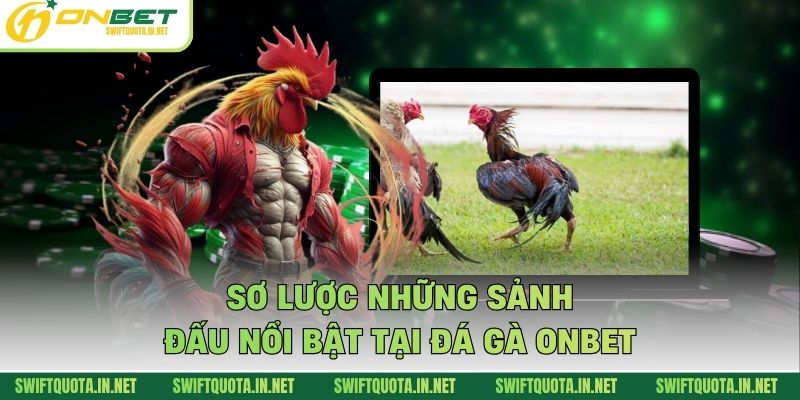 Sơ lược những sảnh đấu nổi bật tại đá gà Onbet