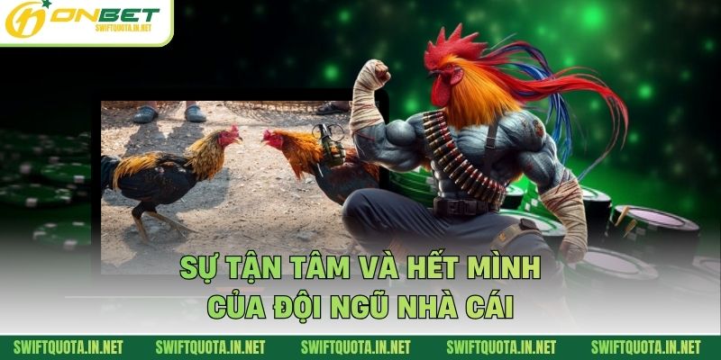 Sự tận tâm và hết mình của đội ngũ nhà cái