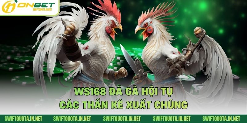 WS168 đá gà hội tụ các thần kê xuất chúng